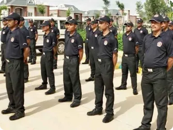 Our services overview